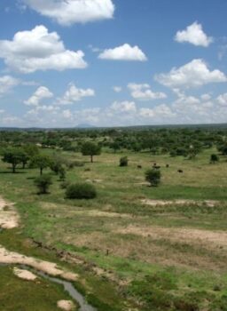 Golf safari Adventure Activities