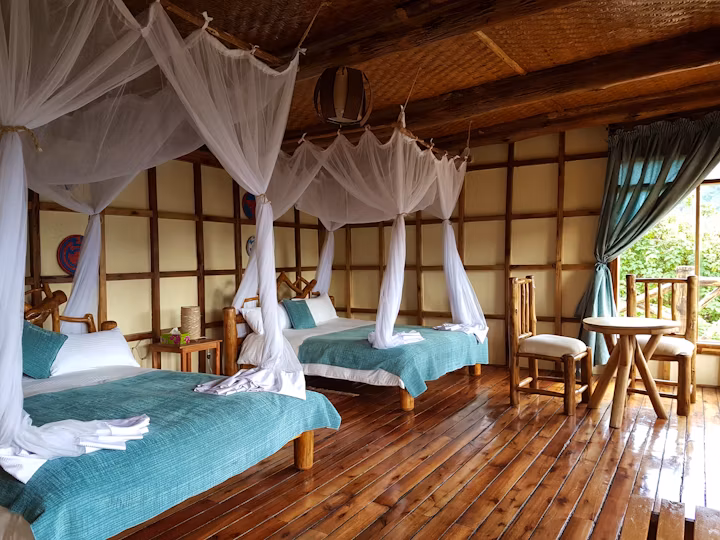 Haven Lodge, Bwindi Forest