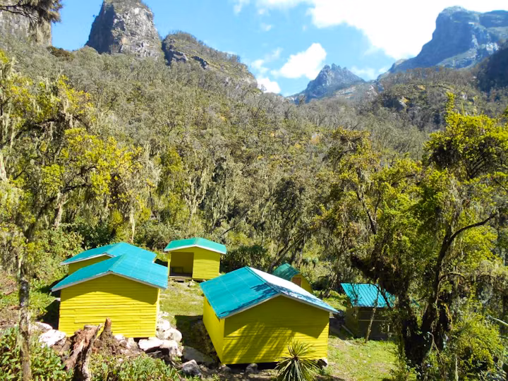 Campsites in the Rwenzori Mountains