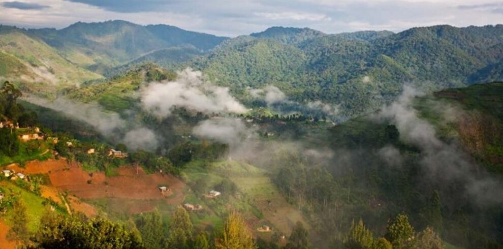 UGANDA Bwindi Gorilla Trekking Safari from Kigali