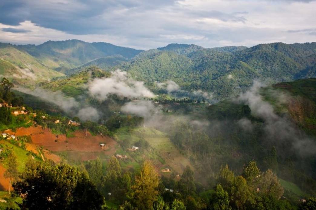 UGANDA Bwindi Gorilla Trekking Safari from Kigali