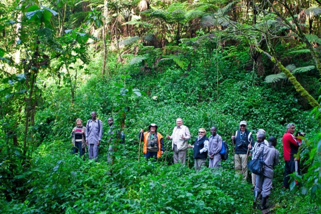 UGANDA Fly In Gorilla Experience3