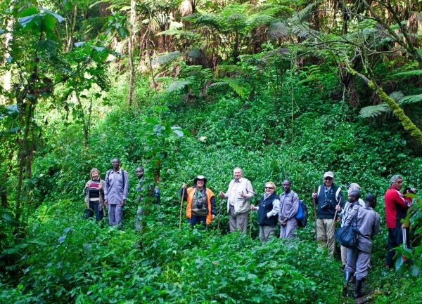 tourists in rwanda