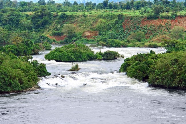 The River Nile6