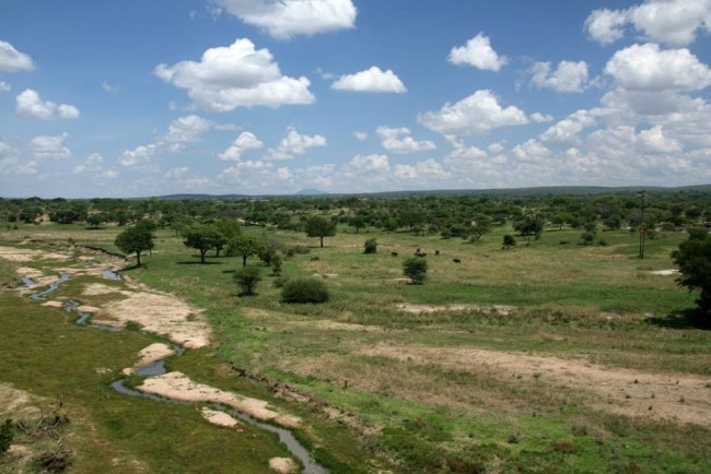 Tarangire National Park