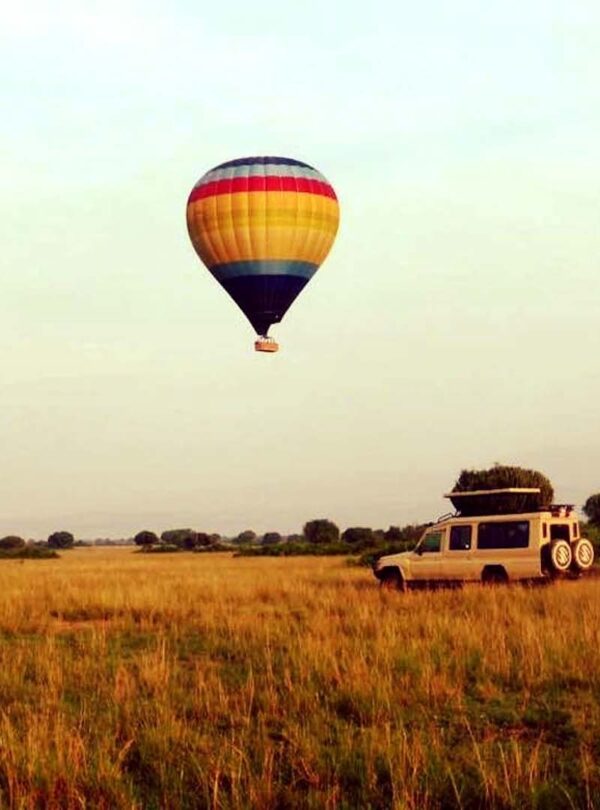 Take to the skies with a hot air balloon ride over Uganda’s beautiful national parks. Enjoy a bird’s-eye view of the wildlife, landscapes, and breathtaking scenery as you float peacefully in the air.