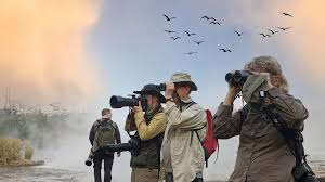 wildlife photography and filming activties