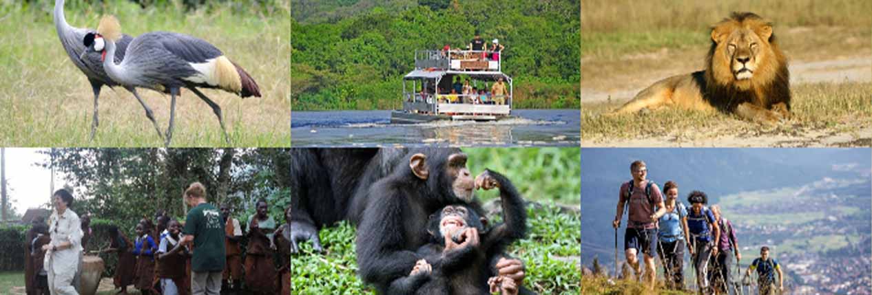 Uganda Safari Activities